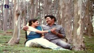 Jayam Manade Movie Video Songs  Pattu Ollu Pattu  Krishna Sri devi [upl. by Luas]