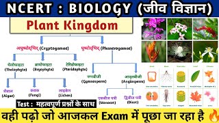 Plant Kingdom  पादप जगत का वर्गीकरण  Padap jagat  Botany  Study vines official [upl. by Ysteb]