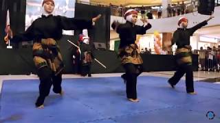 Datu Paglas Kuntaw Silat [upl. by Odnumyer682]