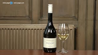 Disznókö Tokaji Dry Furmint 2016 wine review [upl. by Nivrehs110]