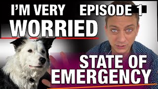 State of Emergency The Dog Training Crisis is Here The Case Against Aversive Tools [upl. by Henghold892]