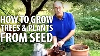 How To Grow Plants amp Trees From Seed  The Dirt Doctor [upl. by Ytinirt466]