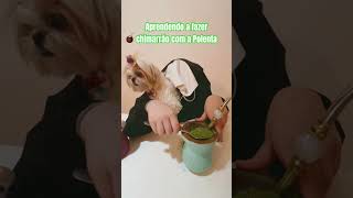 Aprendendo a fazer CHIMARRÃO com a Polenta pets gaucho chimarrao shihtzu puppy [upl. by Sophi]