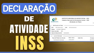 COMO TIRAR A DECLARAÇÃO DE ATIVIDADE PROFISSIONAL NO INSS [upl. by Boleslaw]