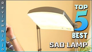 Top 5 Best Sad Lamp Review in 2022 [upl. by Torey]