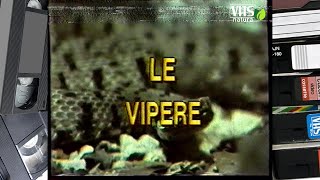 LE VIPERE [upl. by Fari580]