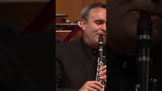 Mozart Clarinet Concerto in A major K 622 Adagio [upl. by Niak]