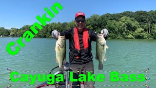 Crankin for Cayuga Bass [upl. by Milissa]