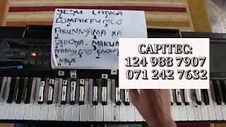 Part 9  Keyboard lessons  Yesu langa lomphefumlo  Pst Bathandwa Cwasi [upl. by Llevron26]