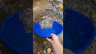 Prospecting the claim for a new fine gold hotspot goldpanning britishcolumbia goldprospecting [upl. by Alvira388]