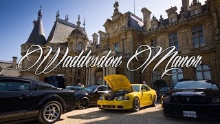 Waddesdon Manor Mustang Show [upl. by Alaj11]