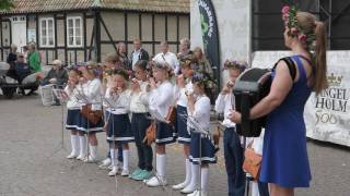 Lergöksorkestern och Engelholm marching band lockade stor publik i Ängelholm [upl. by Elsa677]