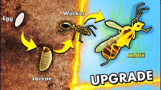 🐜Ants ROBLOX 2 [upl. by Marjory]