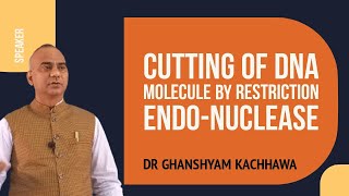 L3 Cutting of DNA Molecule by Restriction EndoNuclease [upl. by Kolivas397]