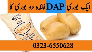 How to increase efficiency of DAP fertilizer in potato crop  Benefits of Sulfur bentonite [upl. by Akehsal]