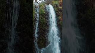 La vallée de chaudefour auvergne sancy auvergnerhonealpes [upl. by Egres]