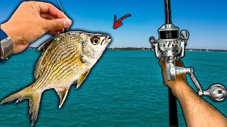 Luckiest Day Of Fishing Light Tackle VS Heavy Structure amp BIG Fish [upl. by Roldan911]