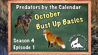 Predators by the Calendar Ep 1 [upl. by Halsy]