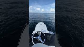 How to relieve stress sportfish yacht fishing offshore [upl. by Assilem]