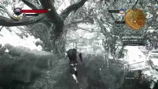 Easy Unlimited Werewolf loots In Wolfs Clothing Witcher 3 Wild Hunt [upl. by Attenod]