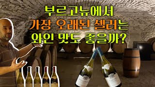 부르고뉴 최고령 셀러 샷또 드 뫼르소 와이너리 투어Chateau de Meursault Winery Tour 부르고뉴여행 [upl. by Sadler]