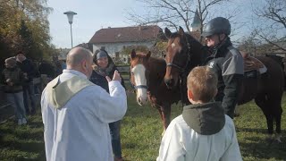 Traditioneller Austritt Leonhard ist quotRossheiligerquot [upl. by Chavey]