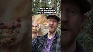 Massive Matsutake Mushroom Tricholoma murrillianum Delicious ASMR Fried Tempura Style Part I [upl. by Red]