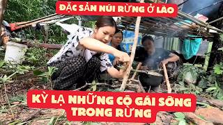 KHÁM PHÁ KHU RỪNG CÓ RẤT NHIỀU ĐẶC SẢN LOẠI ĐẶC BIỆT QUÝ HIẾM Ở LÀO [upl. by Flory]