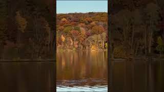 Fall Foliage 2024 Moraine State Park Pittsburgh Pennsylvania [upl. by Jacquelynn]