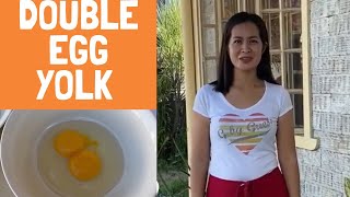 What is the standard sizes of egg as per DTI [upl. by Ilil]