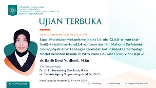 Ujian Terbuka Program Doktor FKKMK UGM Atas Nama dr Ratih Dewi Yudhani MSc [upl. by Aloysius319]