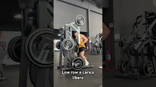 Low row machine a carico libero backworkout gymexercises gymworkout gym bodybuilding [upl. by Oine]