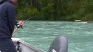 55lb King Salmon Fishing With Mark Glassmaker Alaska [upl. by Merell]