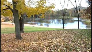 Ohio Fall Color  Hueston Woods State Park [upl. by Enelie495]