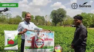 Abhilash Farmer Testimonials  Tomato Hybrid Seed  Bayer Seminis [upl. by Rebm]