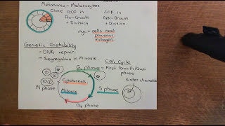 Cancer Development Part 4 [upl. by Icats]