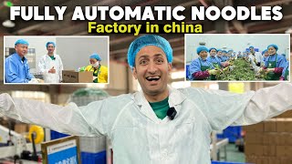 Fully automatic noodles factory in china with production capacity of 11000 per 8 hours [upl. by Ferdy]