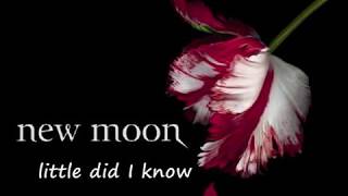 my New Moon Soundtrack 12AgainNatasha Bedingfield w subtitle lyrics [upl. by Adebayo]