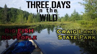 3 DAYS in the WILD  Craig Lake State Park  Fishing amp Camping in remote Upper Peninsula [upl. by Hock678]