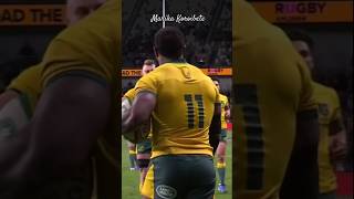 Marika Koroibete 11 🇦🇺 🔥  rugby highlights reels superrugby viralshorts [upl. by Anala159]