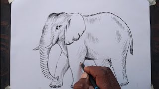 very easy elephant drawing tutorial for beginners  elephant drawing  elephant drawing step by st [upl. by Anzovin]