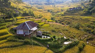 Begini Rasanya Tinggal Di Desa Dengan Pemandangan Alam Indah Udara Sejuk Suasana Pedesaan Jawa Barat [upl. by Naveb608]