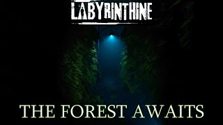 The Forest Awaits  Labyrinthine Chapter 3 Part 1 [upl. by Cesare944]