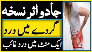 Kidney pain Treatment  Gurdy main dard ka fori Aur Gharelu ilaj By Hakeem Zia Shahid [upl. by Morena343]