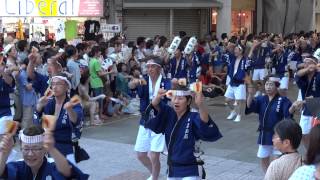 高知市役所踊り子隊（よさこい祭り2013・帯屋町） [upl. by Yevreh709]