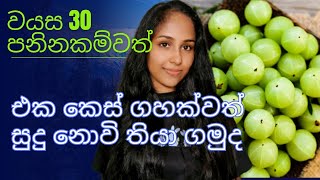 සුදු හිසකෙස් නැති කර ගන්න ක්‍රමෙන් කොණ්ඩේත් වවමු 🌼  amla treatment at home Harshisdiary8443 [upl. by Eedeed]