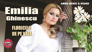 EMILIA GHINESCU  FLORICELE DE PE VALE [upl. by Irehc]