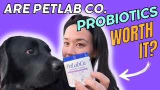 Do PetLab Cos Probiotic Chews Actually Work  Honest Review [upl. by Elades963]