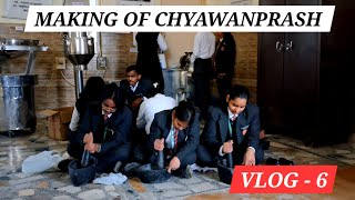 MAKING OF CHYAWANPRASH IN DEV BHOOMI UTTARAKHAND UNIVERSITY BAMS  VLOG  6  ASHISH PANWAR [upl. by Emilie561]