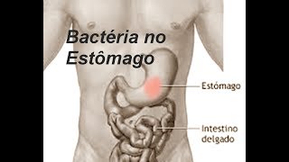 Dicas para Bactéria no Estômago [upl. by Hobey]